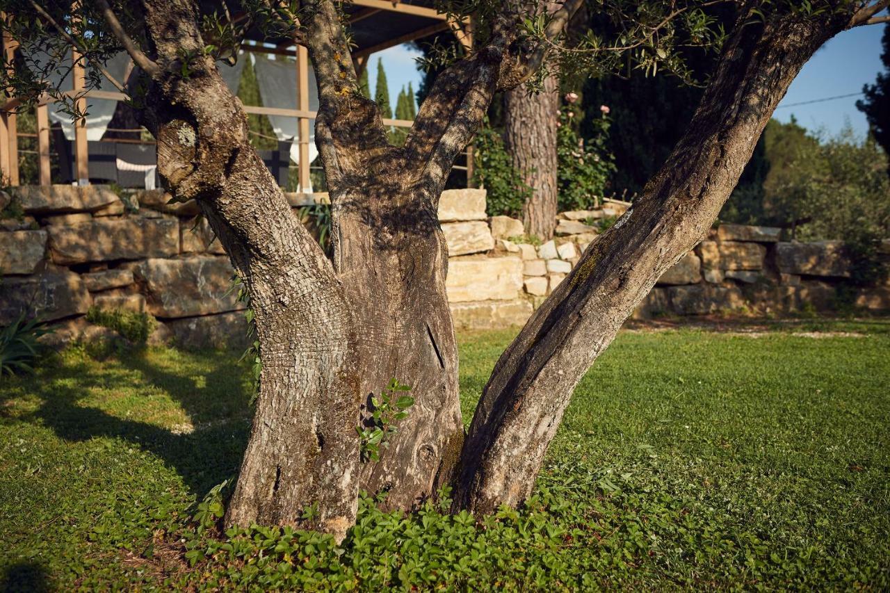 Le Balze Appartamenti เปรูจา ภายนอก รูปภาพ